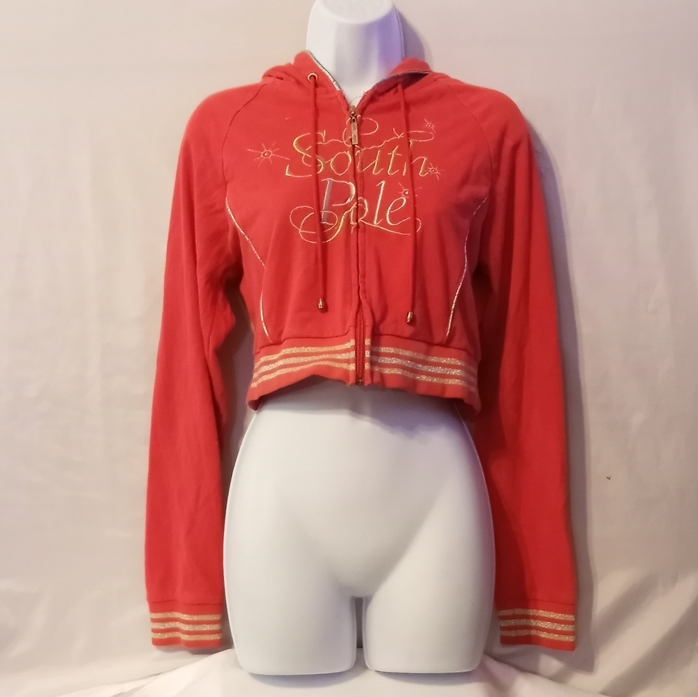 South pole cropped zip up hoodie